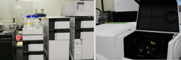 胶原蛋白肽检测
