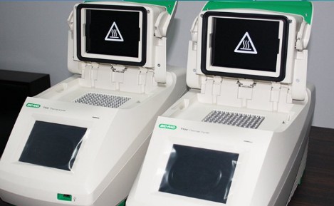 PCR 检测