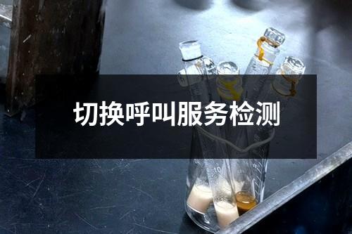 切换呼叫服务检测