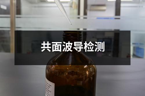 共面波导检测