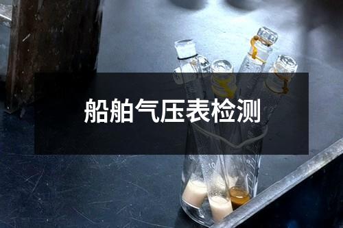 船舶气压表检测