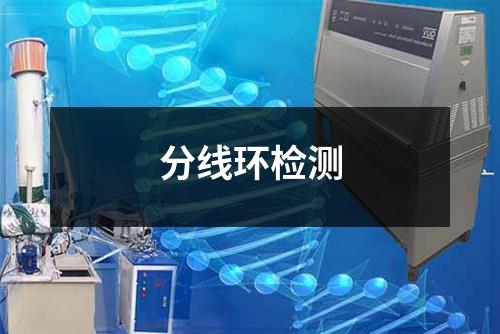 分线环检测