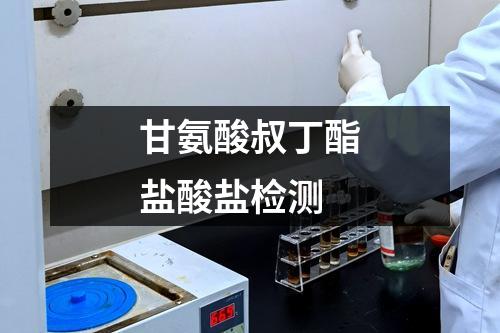 甘氨酸叔丁酯盐酸盐检测