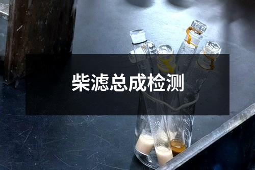 柴滤总成检测