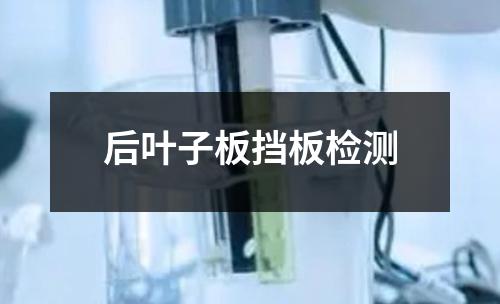 后叶子板挡板检测