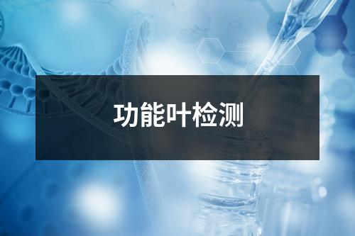 功能叶检测