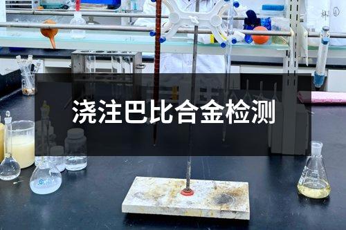 浇注巴比合金检测