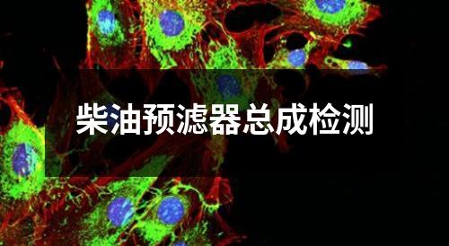柴油预滤器总成检测