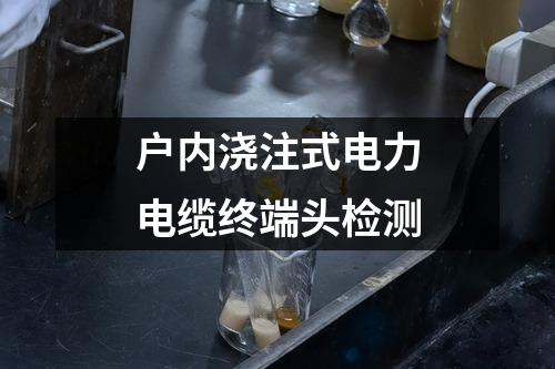 户内浇注式电力电缆终端头检测