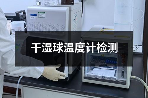 干湿球温度计检测