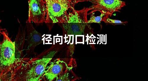 径向切口检测