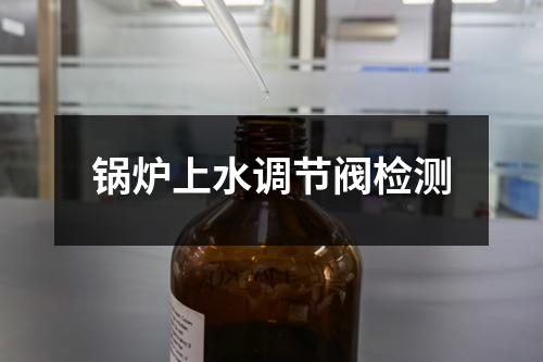 锅炉上水调节阀检测