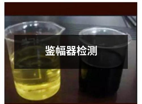 鉴幅器检测