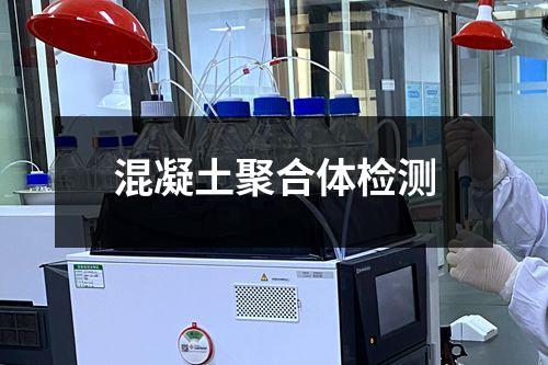 混凝土聚合体检测