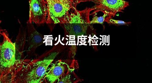看火温度检测