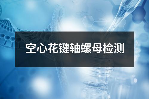 空心花键轴螺母检测
