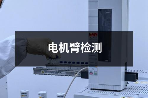 电机臂检测