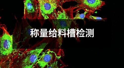 称量给料槽检测