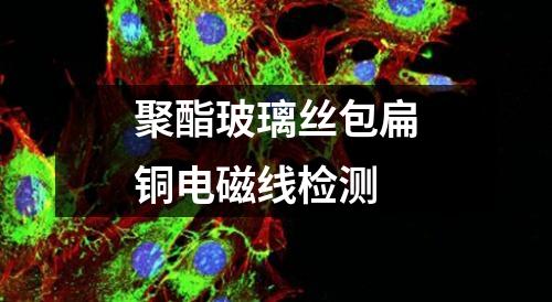 聚酯玻璃丝包扁铜电磁线检测