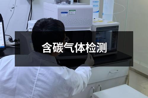 含碳气体检测