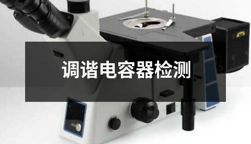 调谐电容器检测