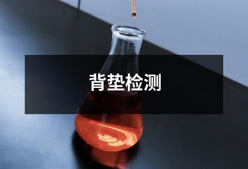 背垫检测