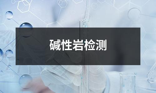 碱性岩检测