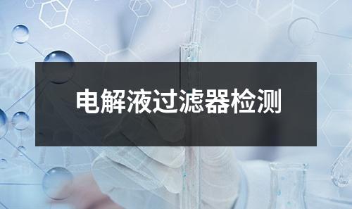 电解液过滤器检测