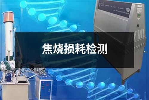 焦烧损耗检测