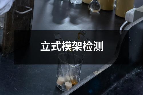 立式模架检测