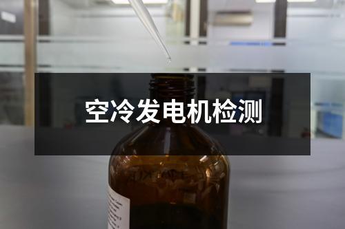 空冷发电机检测