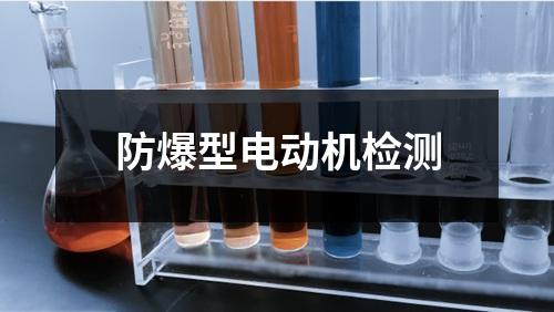 防爆型电动机检测