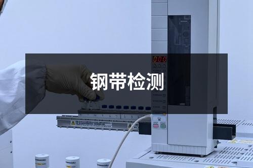 钢带检测