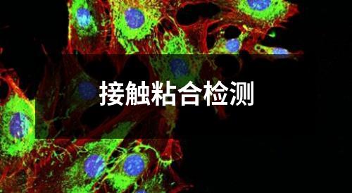 接触粘合检测