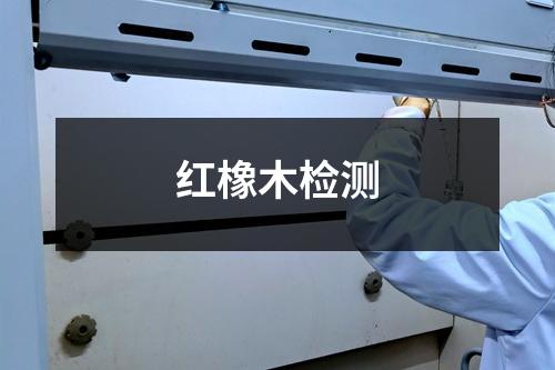 红橡木检测
