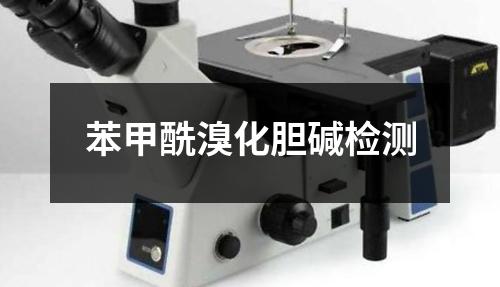 苯甲酰溴化胆碱检测