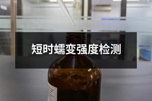 短时蠕变强度检测