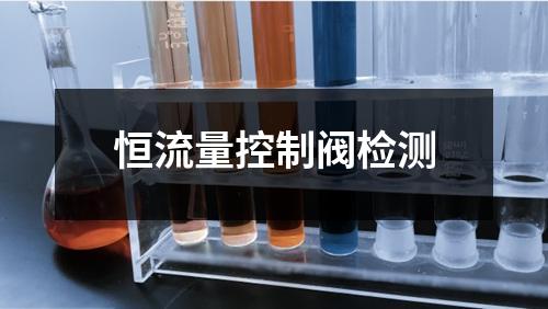 恒流量控制阀检测