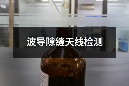 波导隙缝天线检测