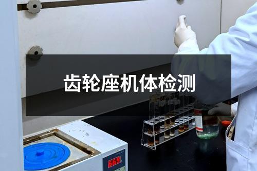 齿轮座机体检测