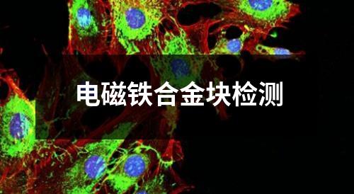 电磁铁合金块检测