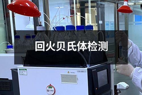 回火贝氏体检测