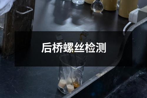 后桥螺丝检测