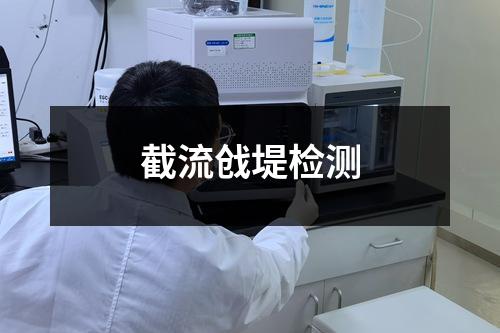截流戗堤检测