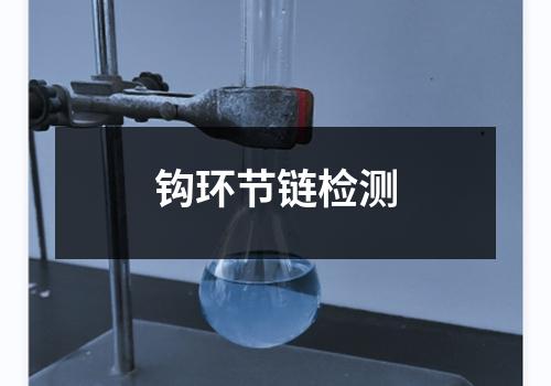 钩环节链检测