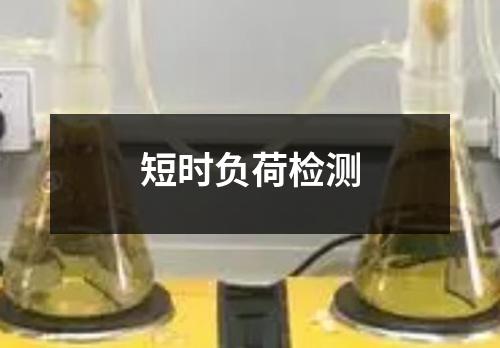 短时负荷检测