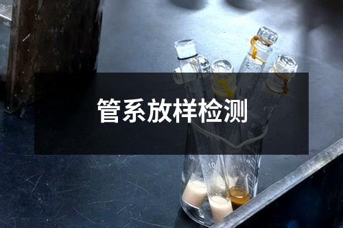 管系放样检测