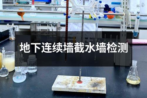 地下连续墙截水墙检测