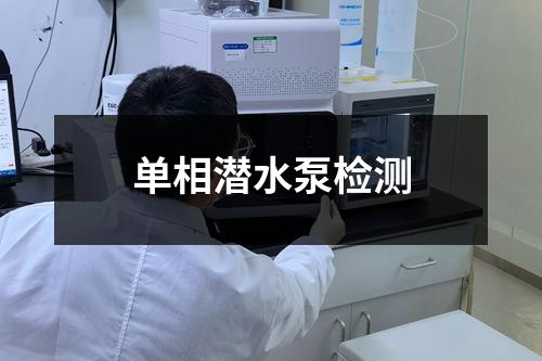 单相潜水泵检测