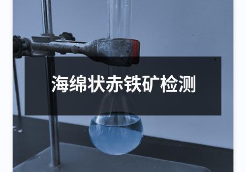 海绵状赤铁矿检测
